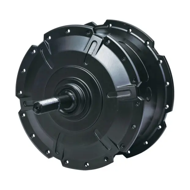 Rear Hub Motor (3)t8b