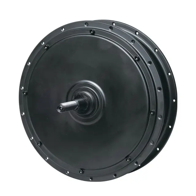 Rear Hub Motor (4)j0e